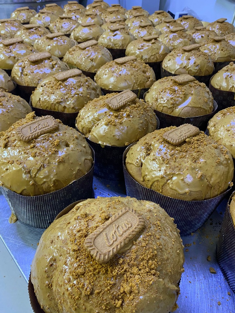 PANETONE LOTUS BISKOTE